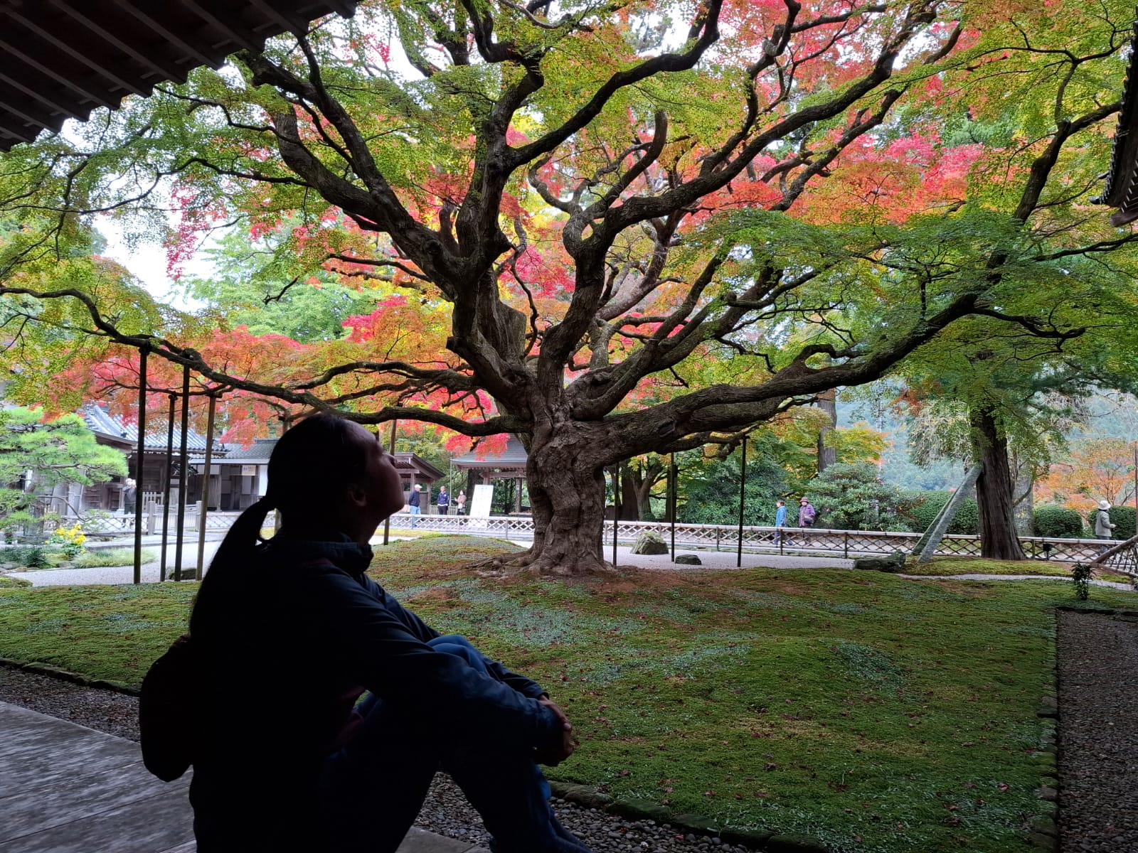 Japan - neue Wege ins Herz